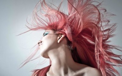 Immagina Hairzone